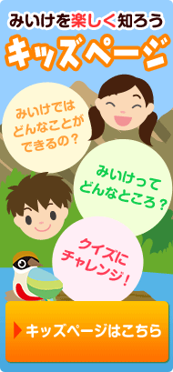 キッズページ