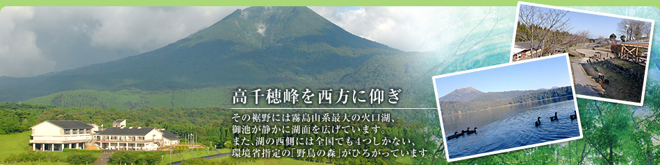 高千穂峰を西方に仰ぎ。その裾野には霧島山系最大の火口湖、御池が静かに湖面を広げています。また、湖の西側には全国でも４つしかない環境省指定の「野鳥の森」がひろがっています。