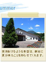 突き抜けるような青空は、御池に夏が来たことを知らせてくれます。
