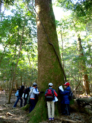 森林、池等を使った国立公園環境保護